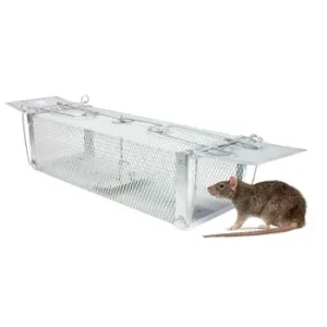 Humane Rat Trap Cage Live Rat Mouse Traps Catch & Release Rats Mice Rodents and Similar Sized Pests Reusable Squirrel Cage For Indoor Outdoor Home Office Use No Toxins Spray Glue